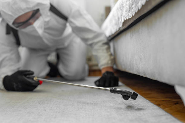 Professional Bed Bug Control technician working in York Harbor, ME